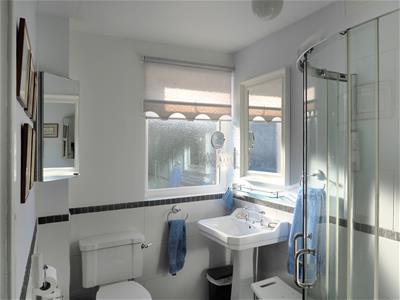Picture 15